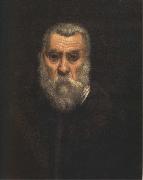 Jacopo Tintoretto Self-Portrait oil painting artist